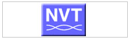 NVT